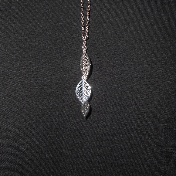 Meet your Posher, Darcey - Picture 3 of 8